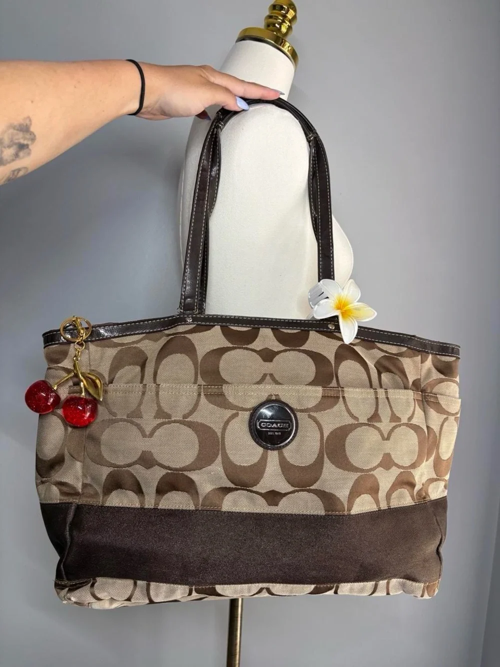 Coach Y2K Signature Canvas Tote Bag in Brown